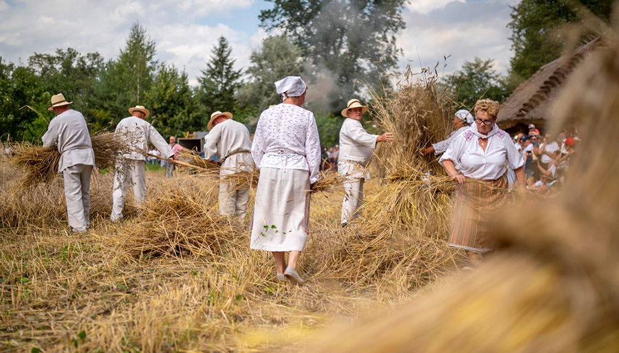 XXI Podlaskie Święto Chleba - to był wyjątkowy dzień pełen tradycji ludowych i atrakcji