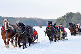 Kulig na otwarcie ferii zimowych w gminie Ciechanowiec