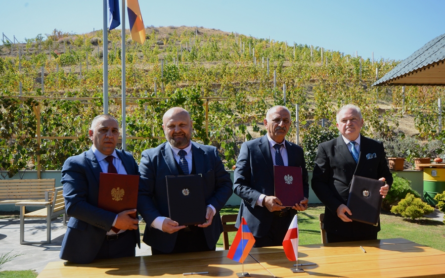 Porzucona suczka Nawiązanie współpracy partnerskiej pomiędzy Ciechanowcem a Jechegnadzorem w Armeniiszczeniakami – prosimy o pomoc w identyfikacji właściciela lub znalezieniu nowych domów