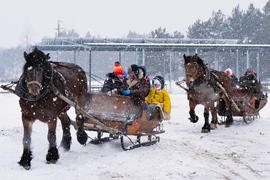 Śnieg, wspólne ognisko i muzyka - kulig na półmetek ferii w Ciechanowcu