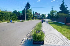 Nowe nasadzenia kwiatowe na terenie Ciechanowca