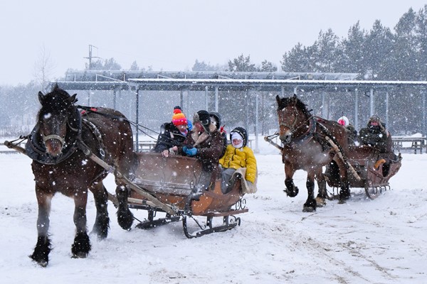 Dzień Dziecka - Festiwal Dobrej Zabawy wspólne spędzenie czasu w rodzinnej atmosferze
