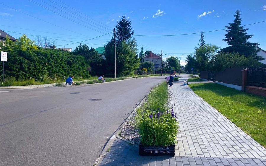Nowe nasadzenia kwiatowe na terenie Ciechanowca