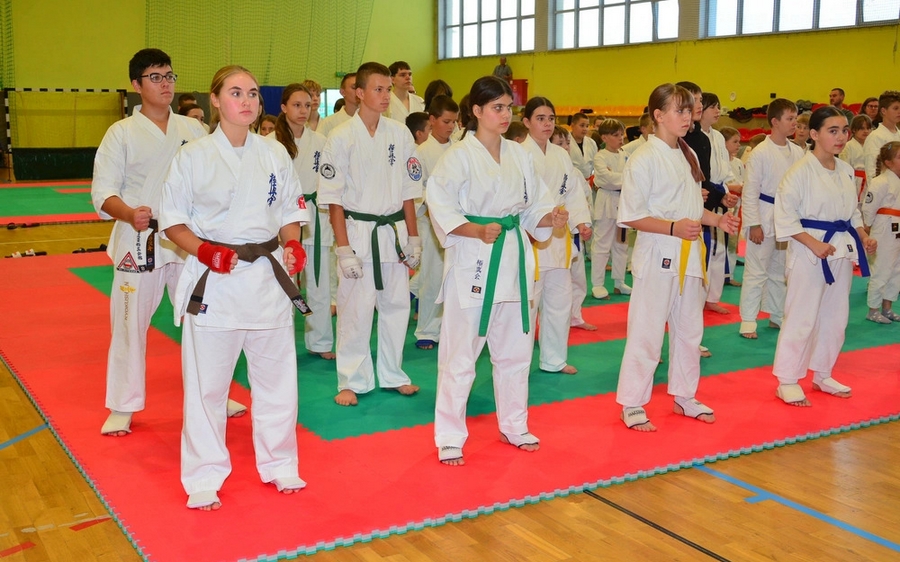 Grand Prix International Budokai o Puchar Burmistrza Ciechanowca