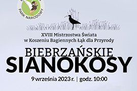 Mistrzostwa Świata w Koszeniu Bagiennych Łąk dla Przyrody „Biebrzańskie Sianokosy”