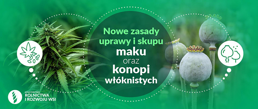 Informacja dla producentów i podmiotów skupujących mak konopie włókniste