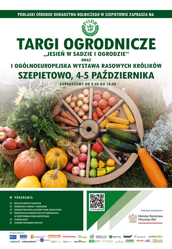 Festiwal Staroci