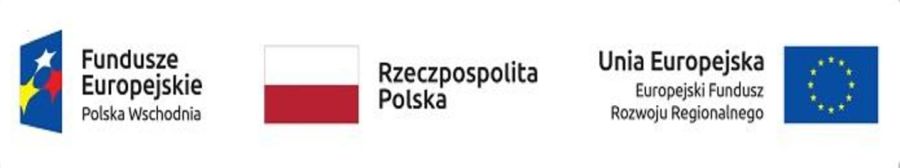 „Cyfrowe GOKi w podregionie łomżyńskim”  - podsumowanie projektu w Ciechanowcu.
