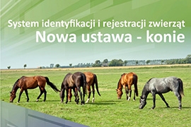 Weszła w życie nowa ustawa o systemie identyfikacji i rejestracji zwierząt