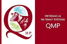 Ekoschemat „Dobrostan zwierząt” - dodatkowe pieniądze dla hodowców bydła z QMP 